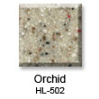 Orchid+HL-502