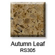RS305_Autumn_Leaf_sm.jpg
