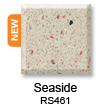 RS461_Seaside_sm.jpg
