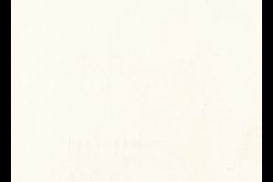 1111 Vivid White