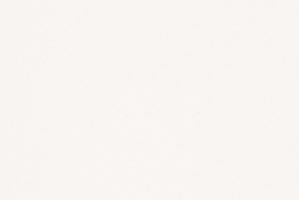 1141 Pure White