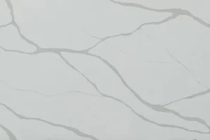 Michelangelo