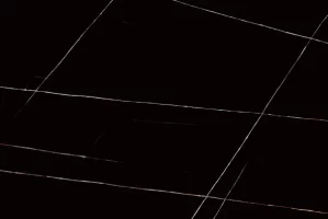 Sahara Noir