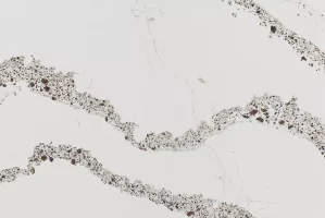 annicca-quartz-3100×2140-swatch