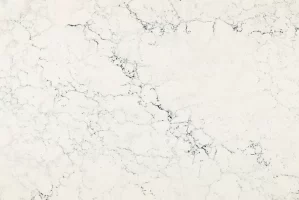 sutherland-quartz-3100×2140-swatch